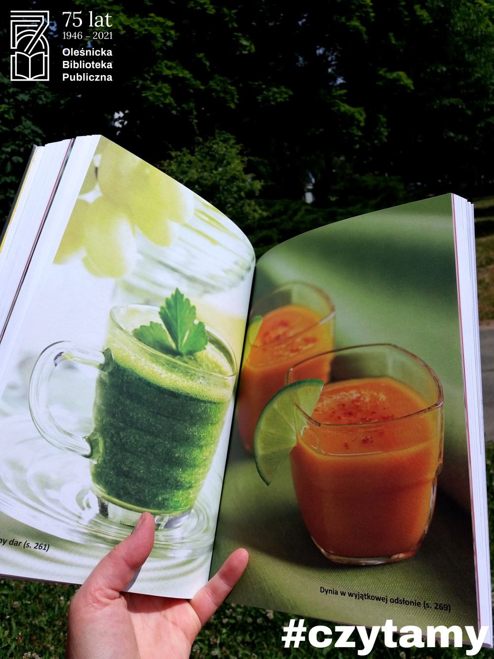 Przykładowe strony książki 